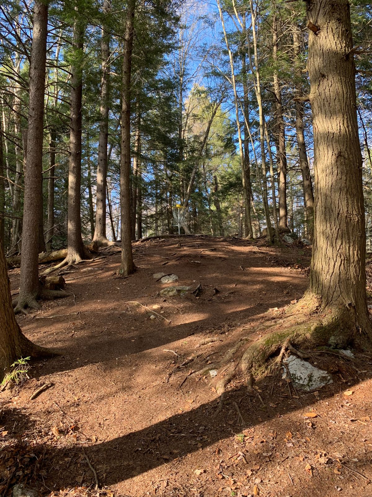 Hole 6!