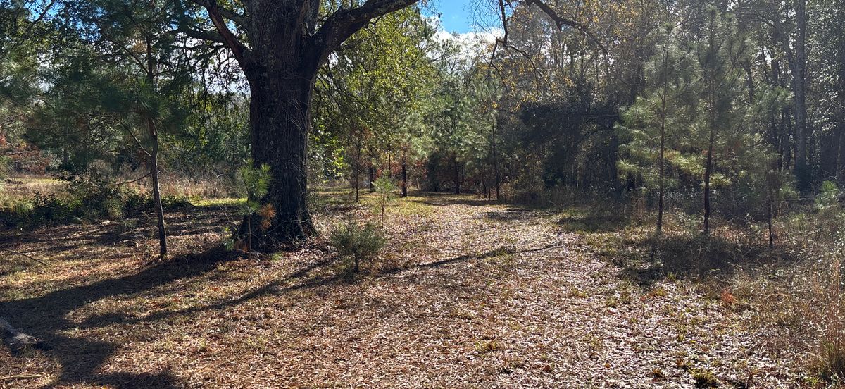 Hole 3 Blue