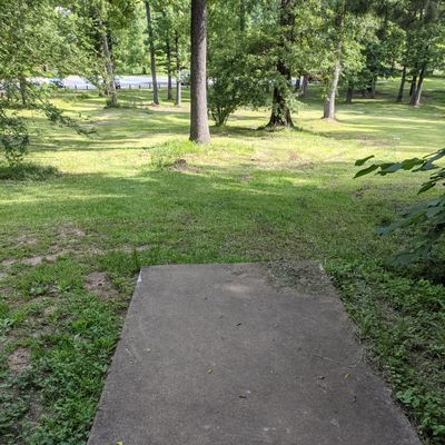 Tee 7 pad