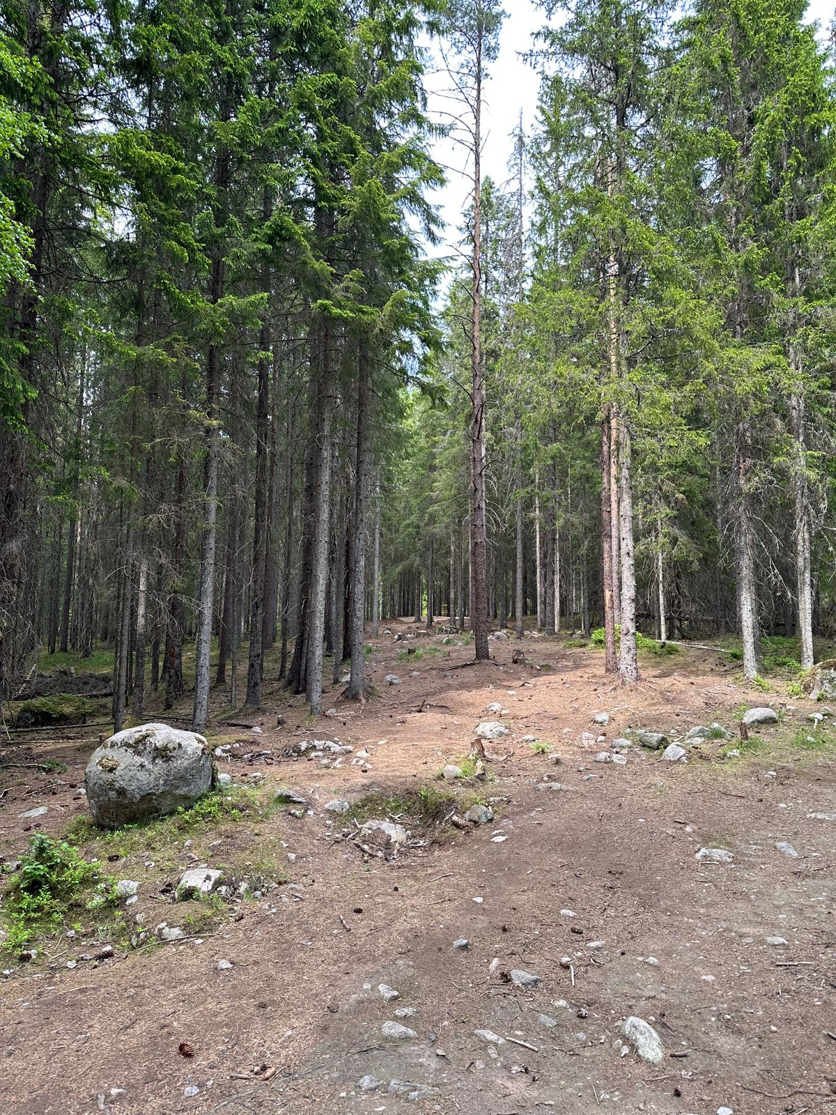 Hål 6