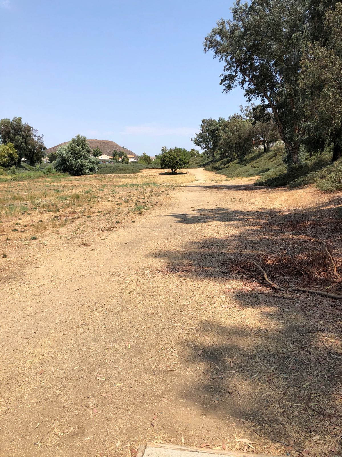 Hole 6