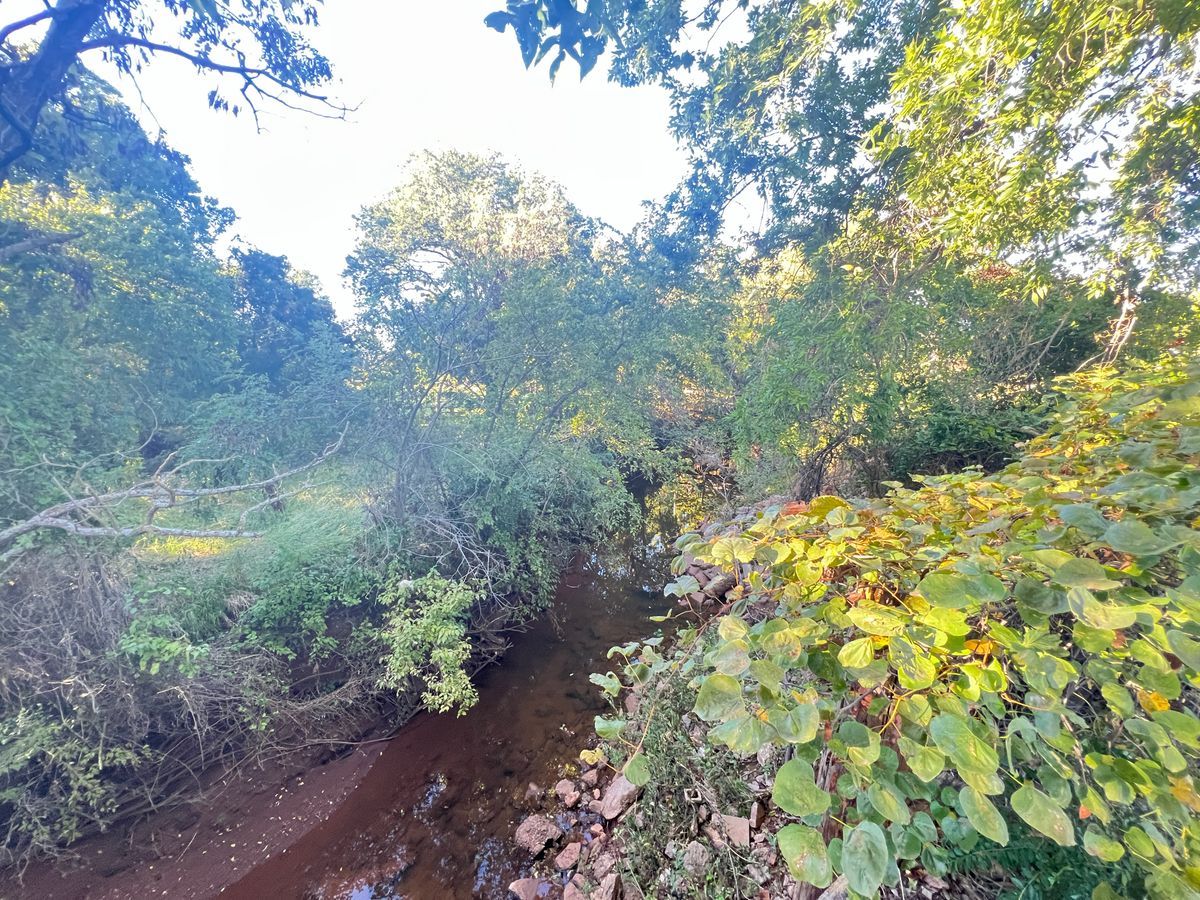 The creek of no return.