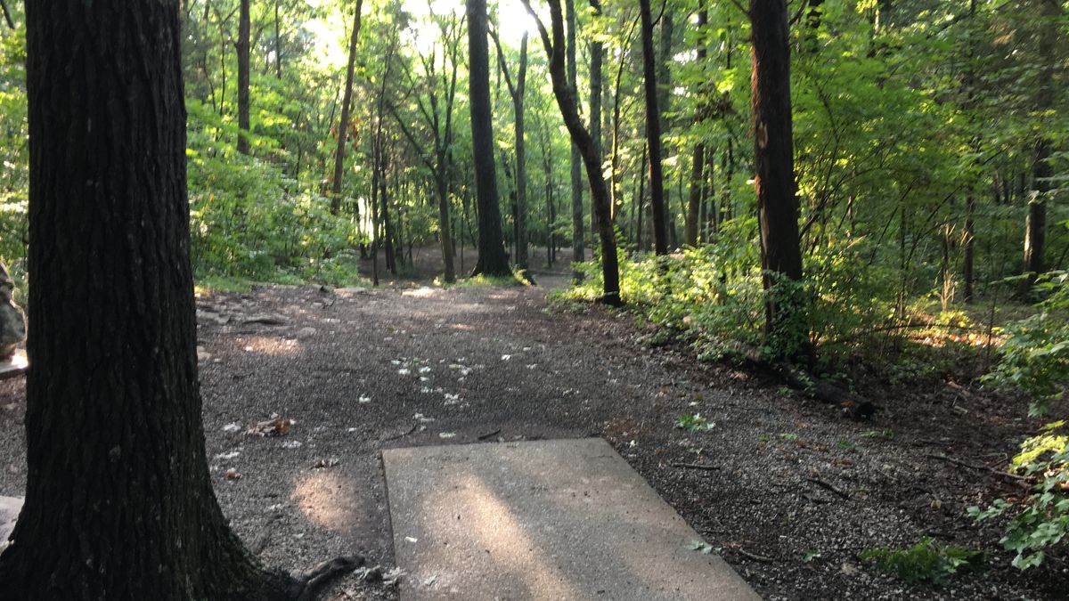 Hole 8