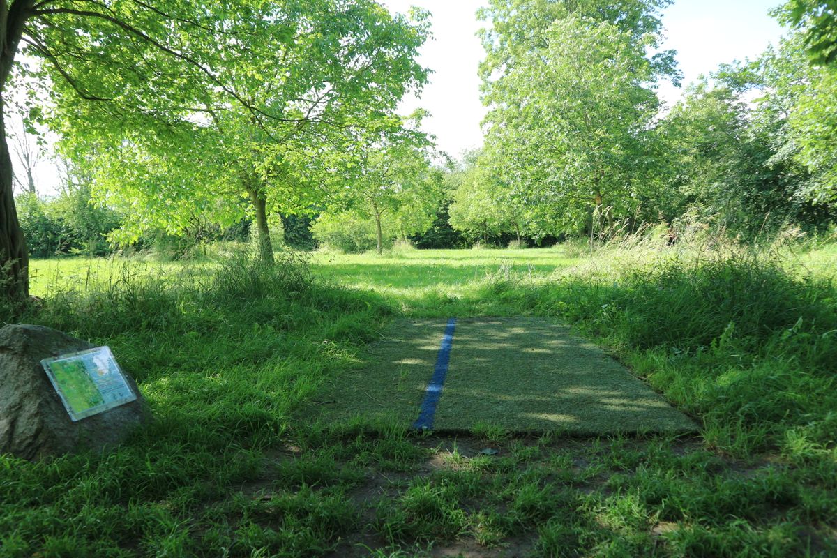 Tee from hole 2