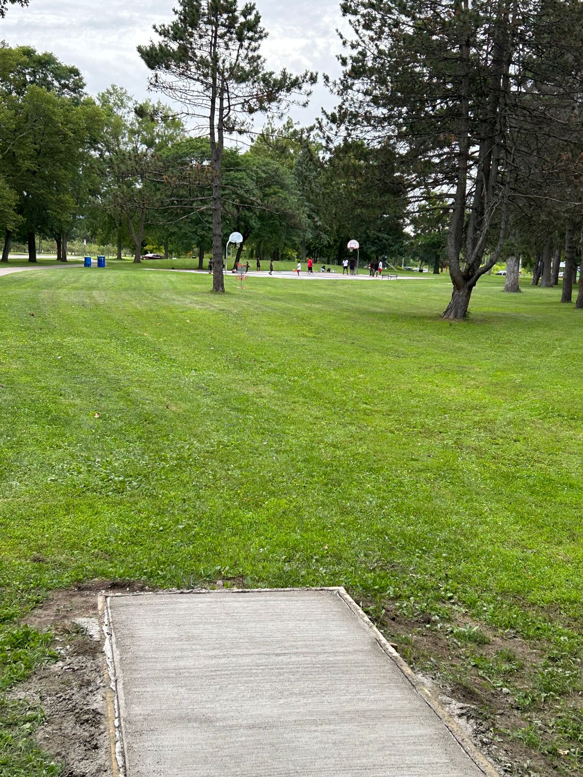 Hole 8 between the pines