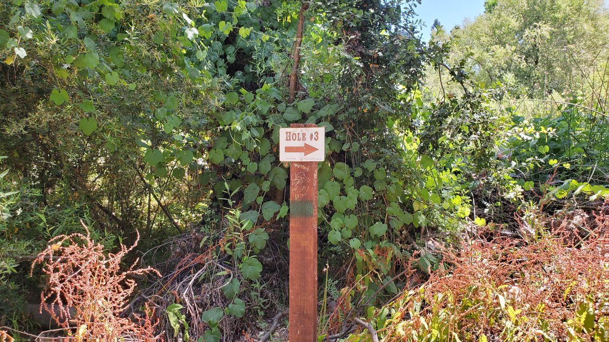 Directions in the woods.