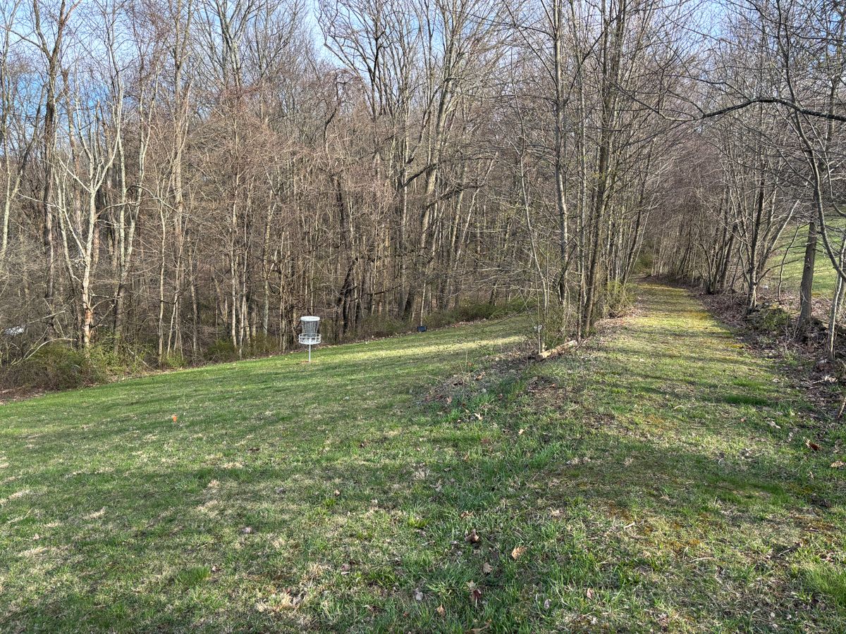 Hole 5 green.