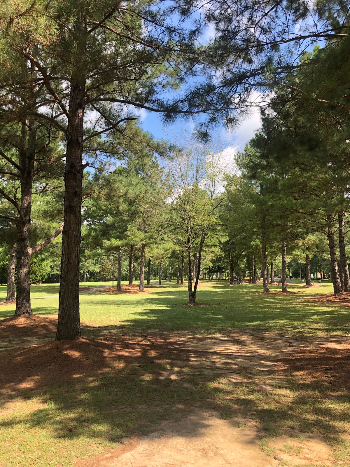 Hole 8
