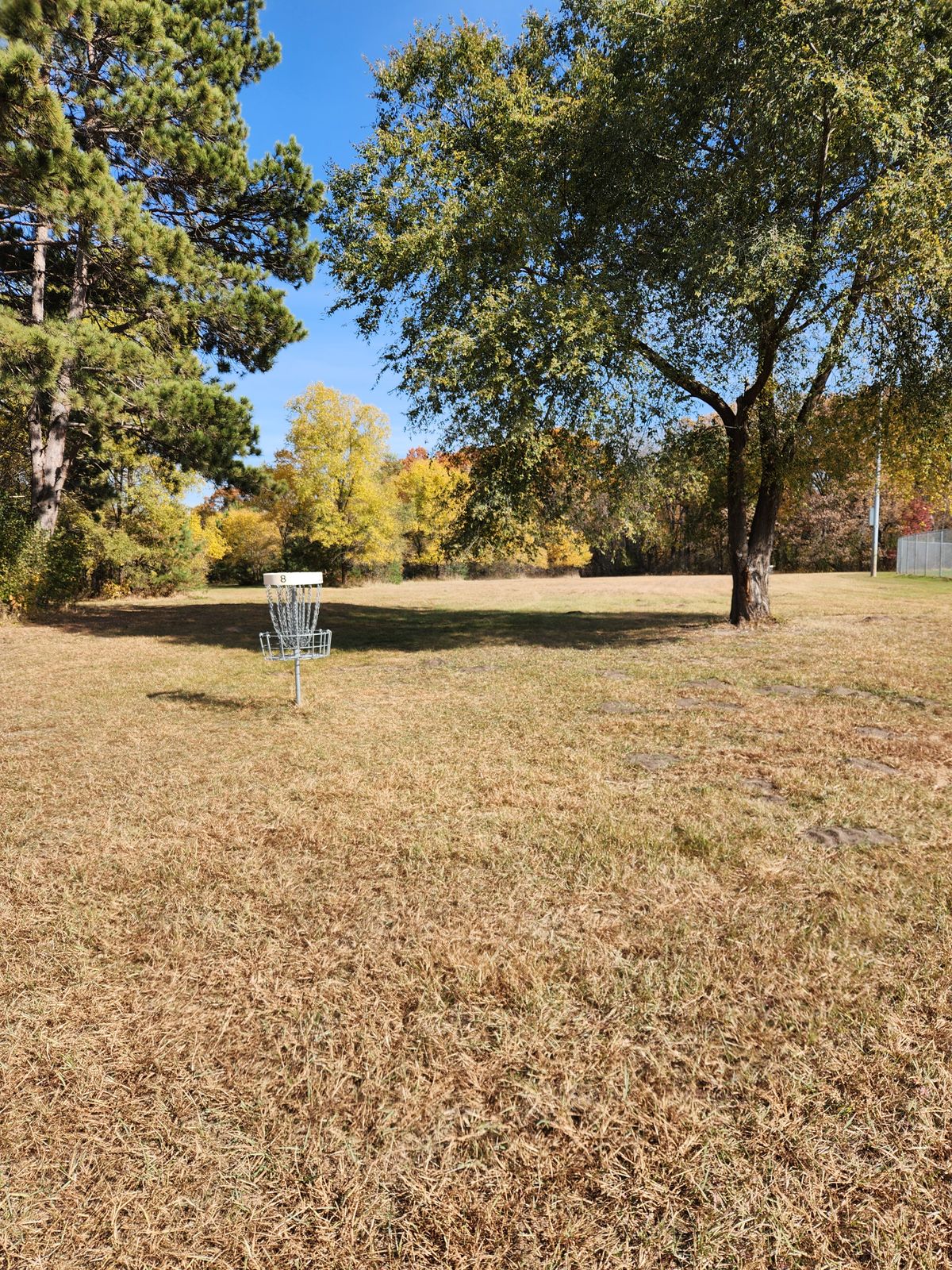 Hole 8 basket