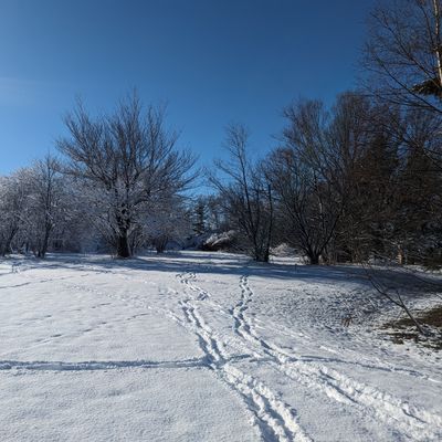 The view from the tee of 1.