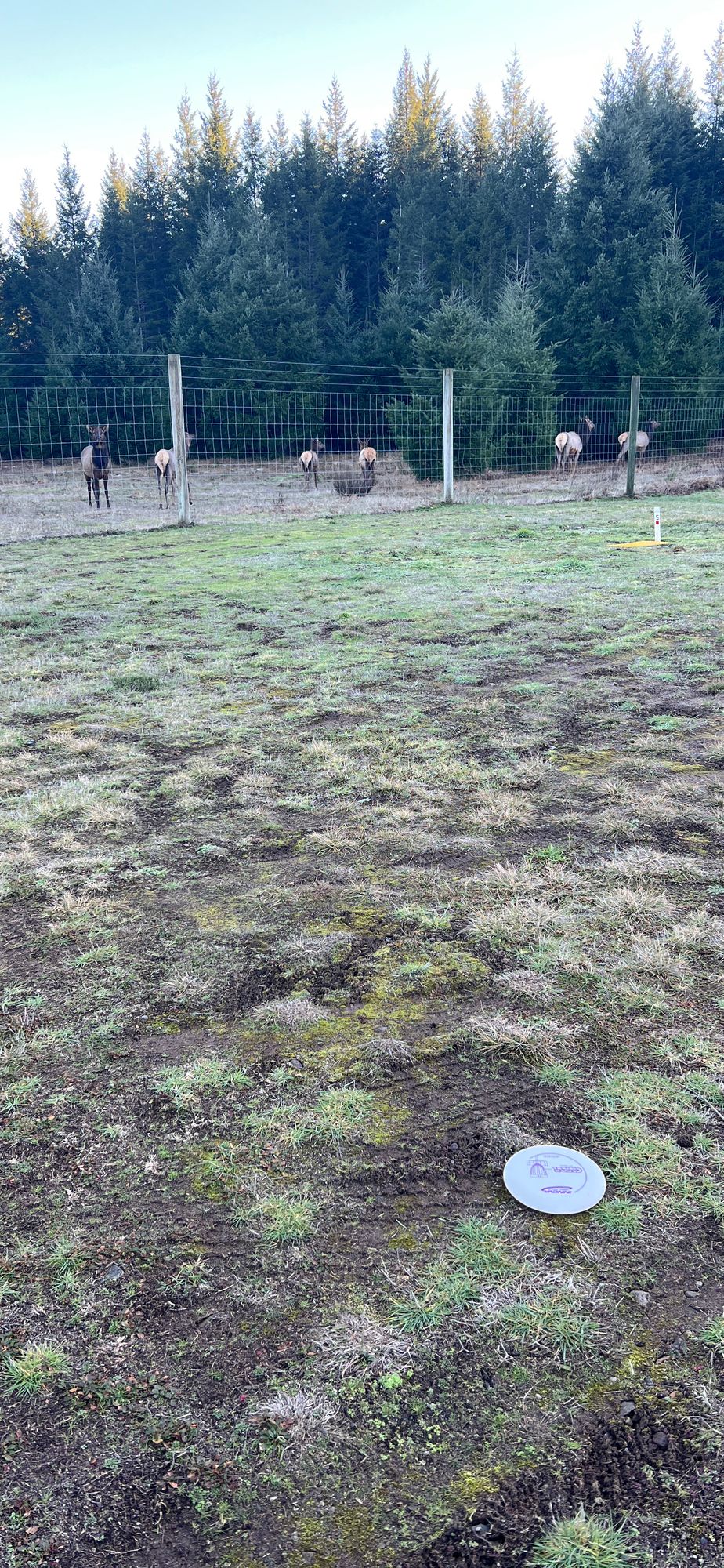 Had some eyes on me during hole 4.