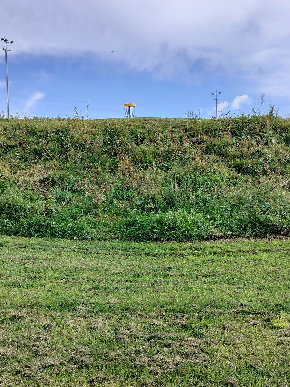 View on hole 8 after landing in C2 below the basket.
