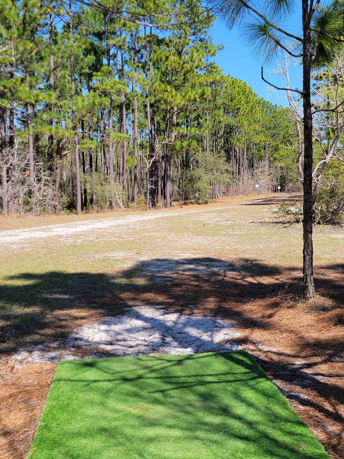 Hole 5 tee