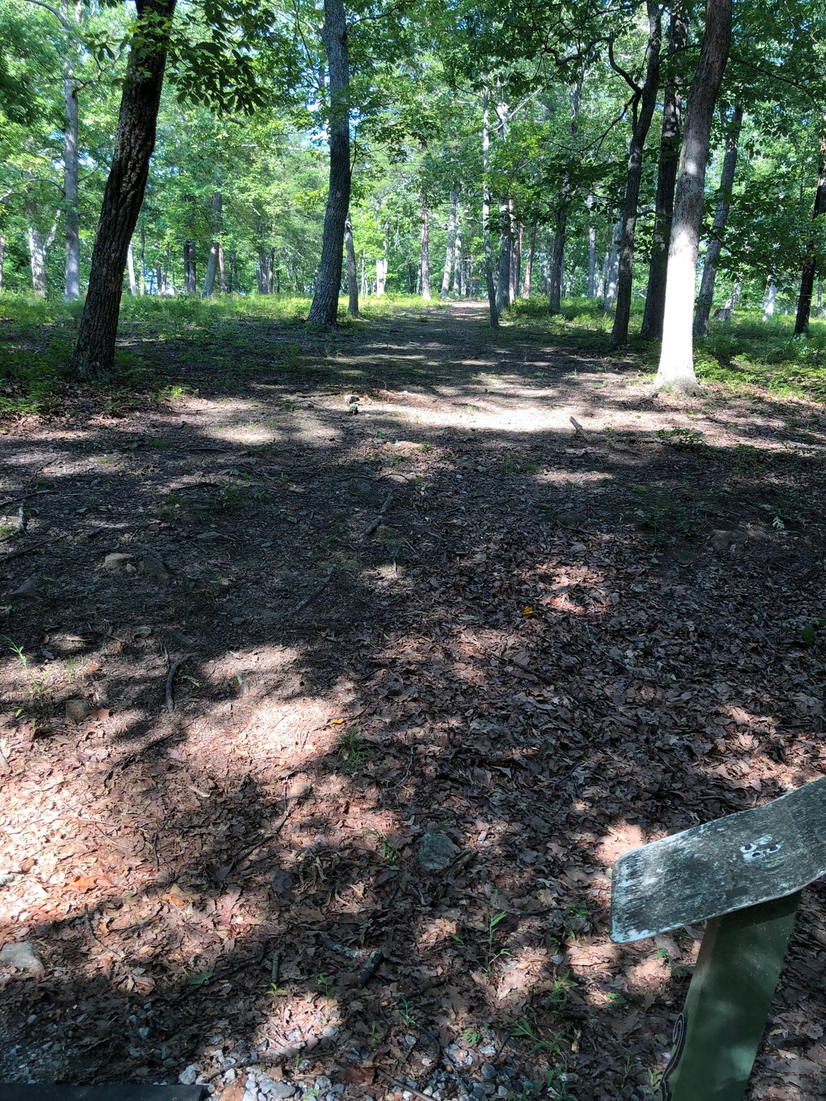 Hole #2 uphill