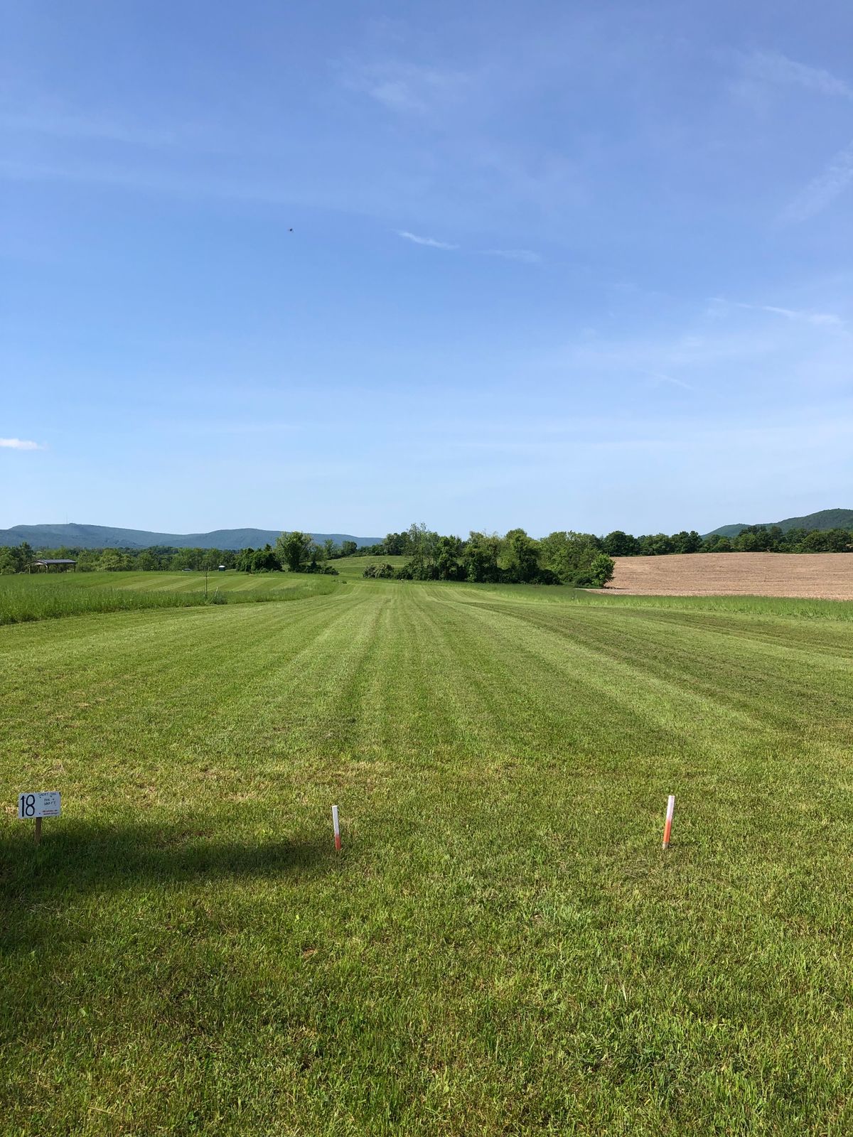 Hole 18 grass short tee