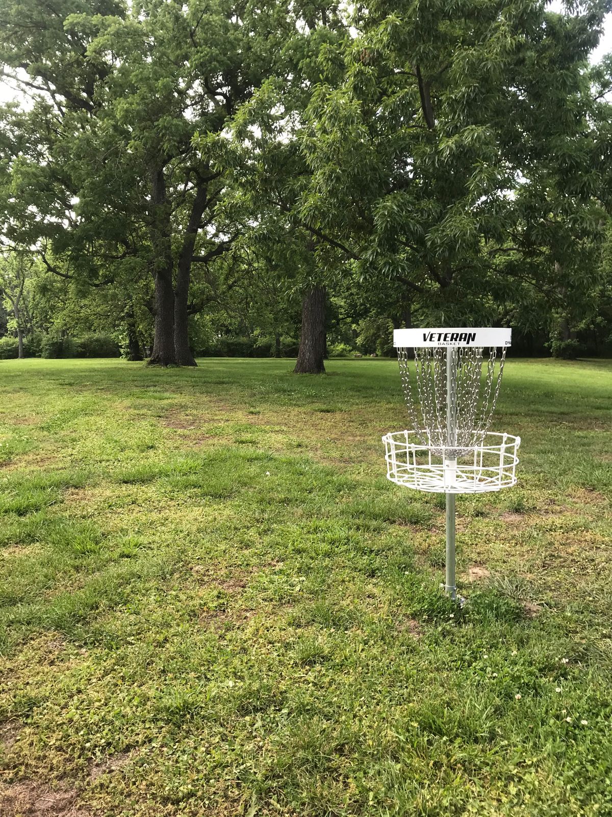 Hole 6 Basket to Tee