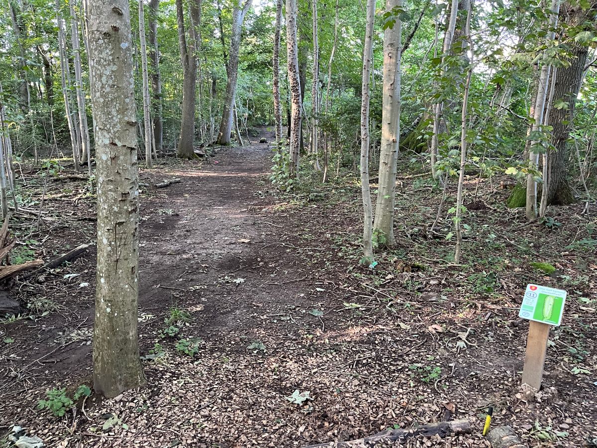 Hole 11