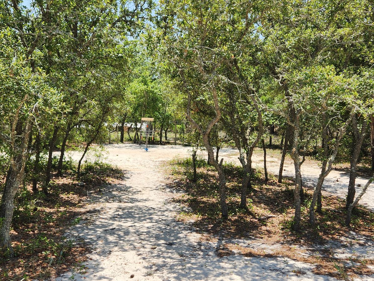 Hole 2 basket