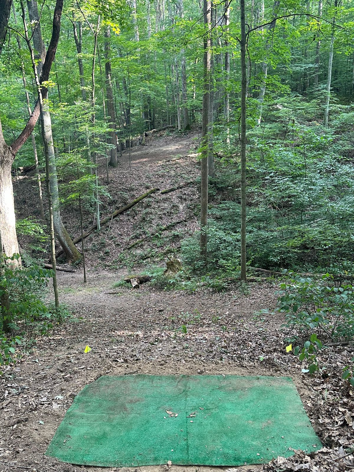 Hole 8 - Short tee