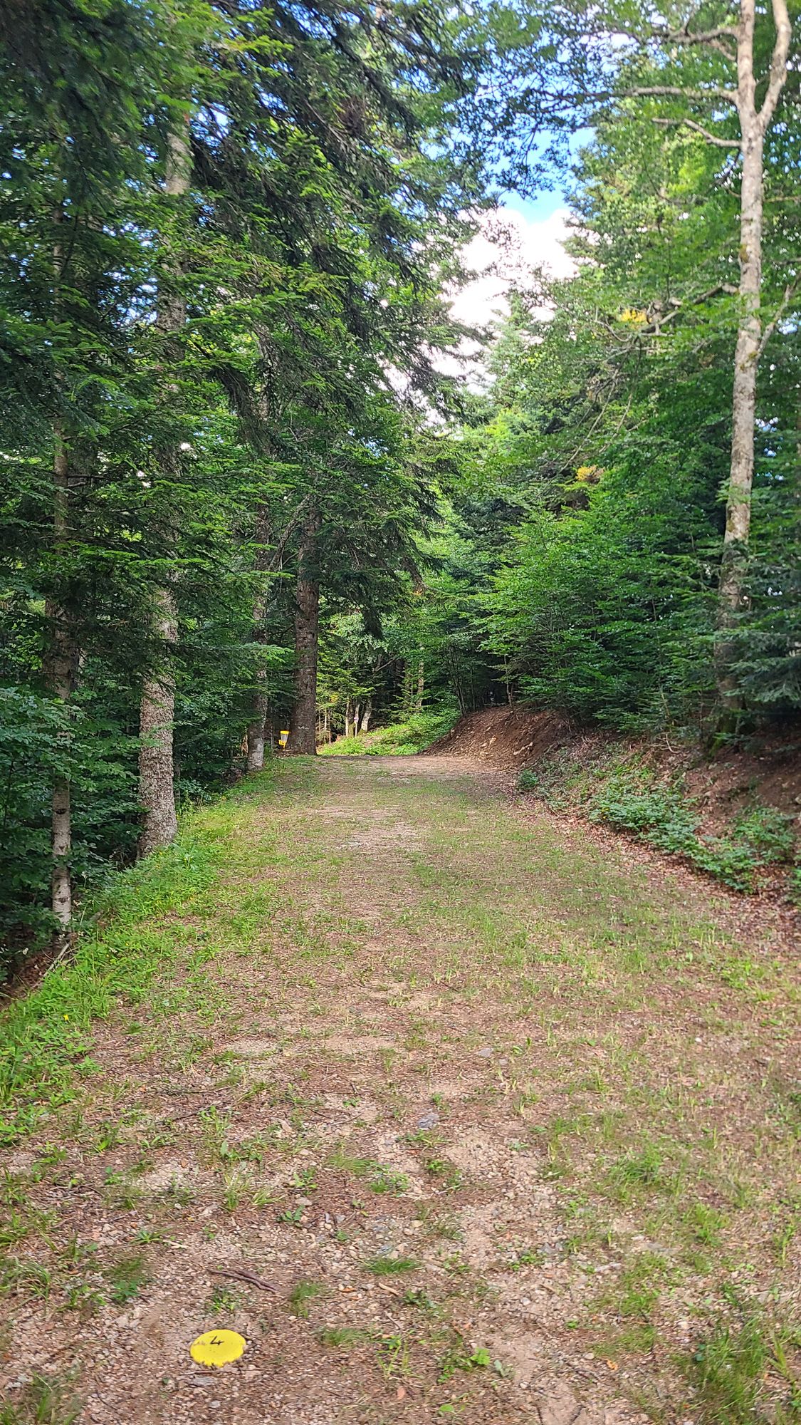 4 Débutant