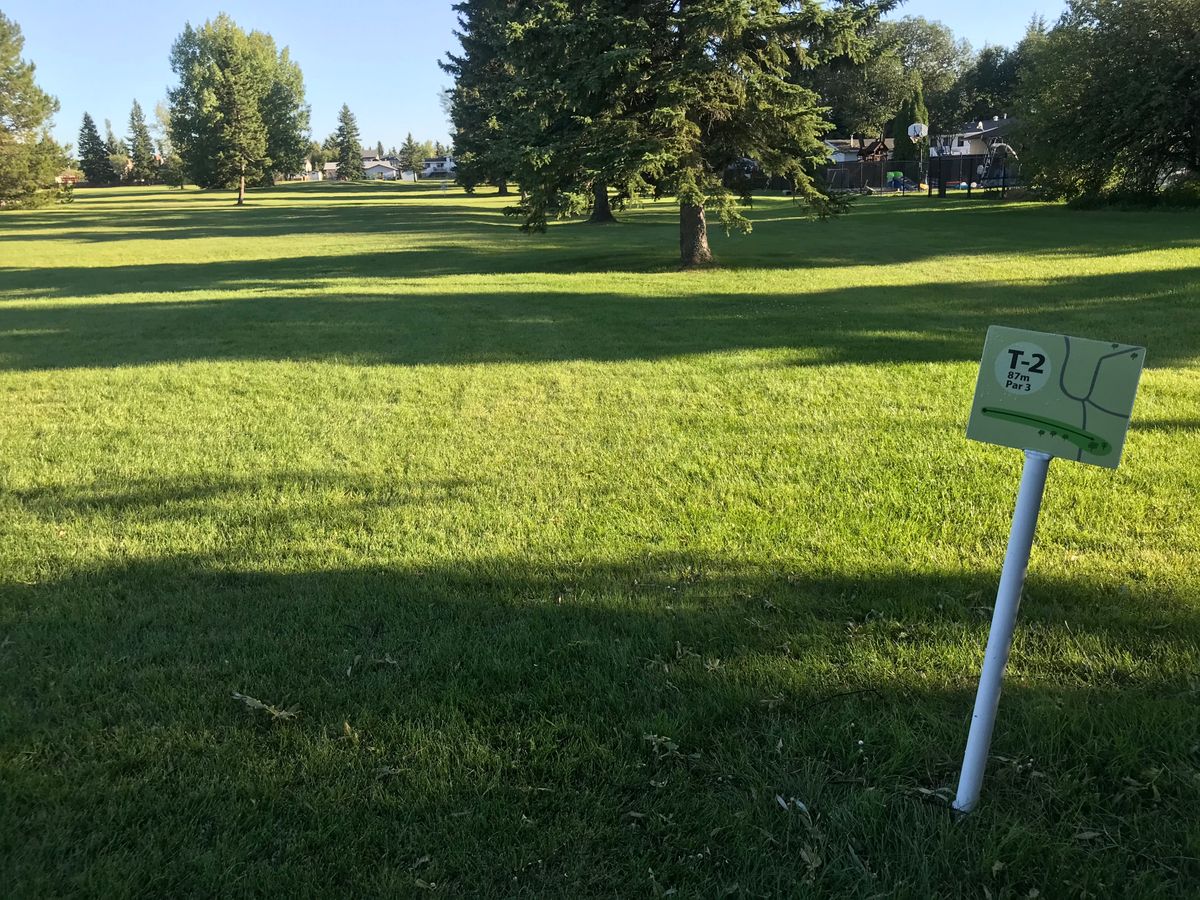 Hole 2 tee pad