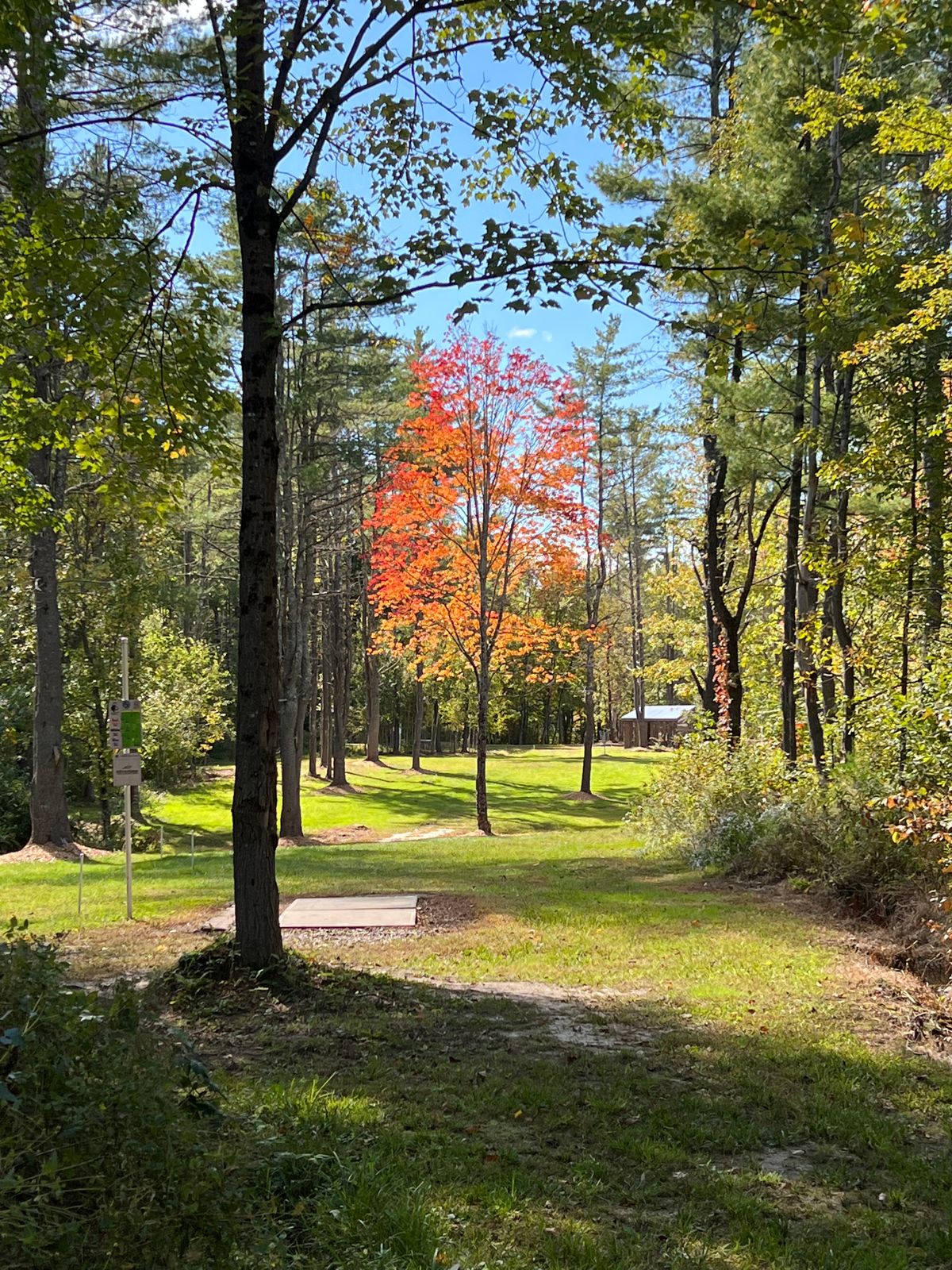 Hole 5