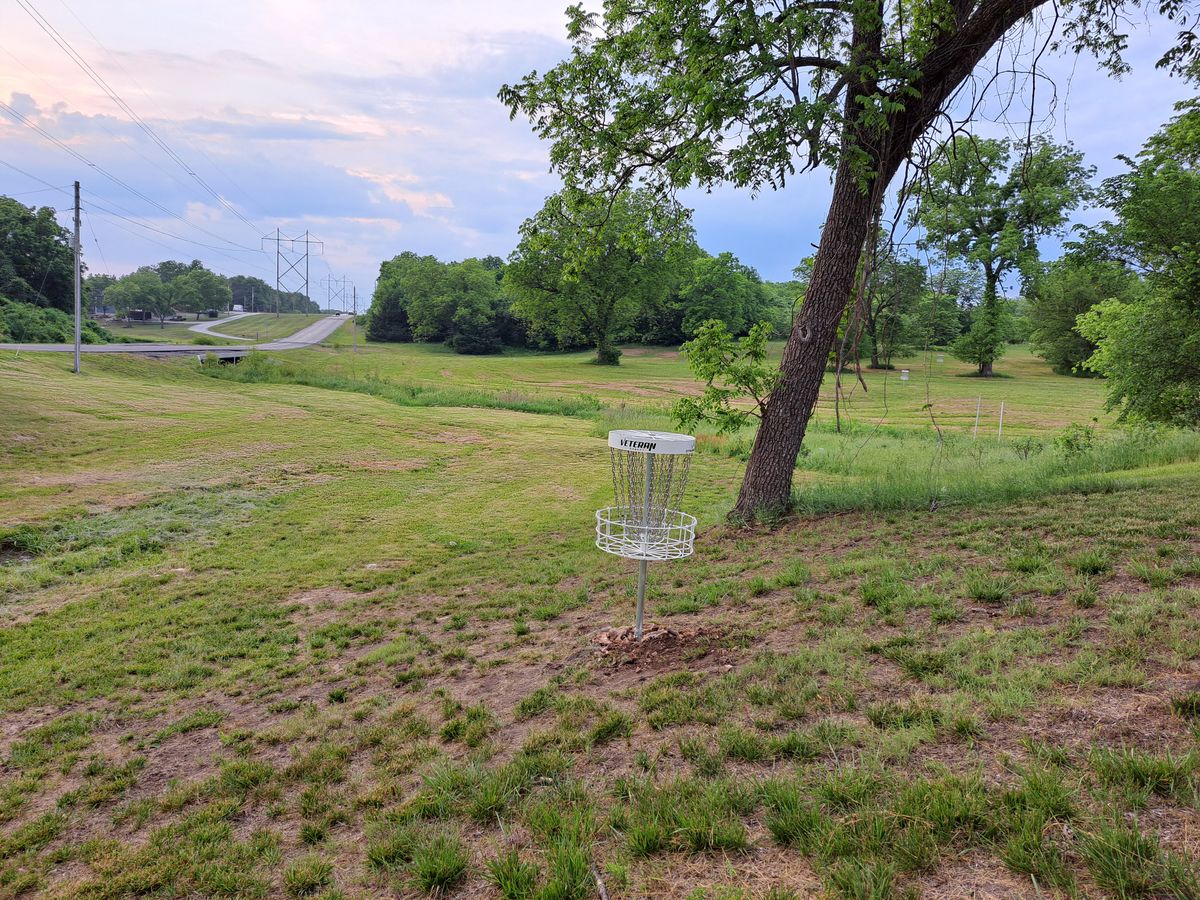 Hole 14 looking back to tee