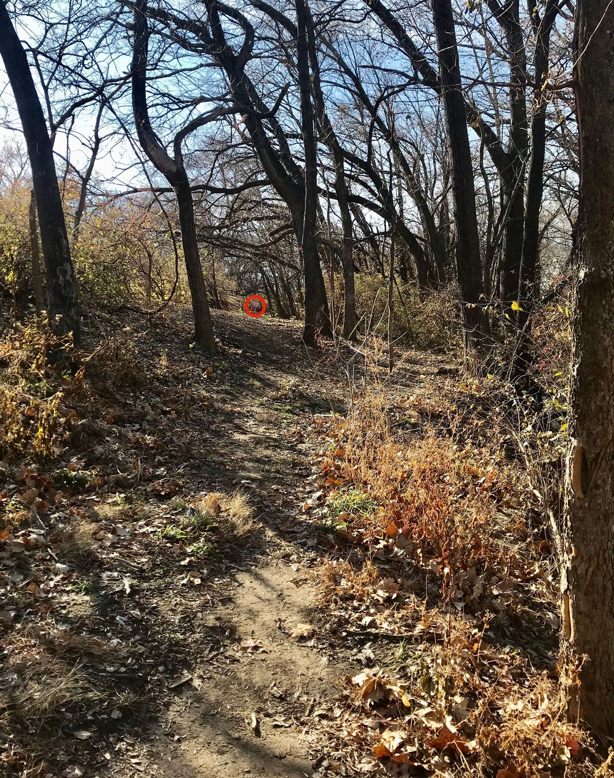 Hole 11 Tee