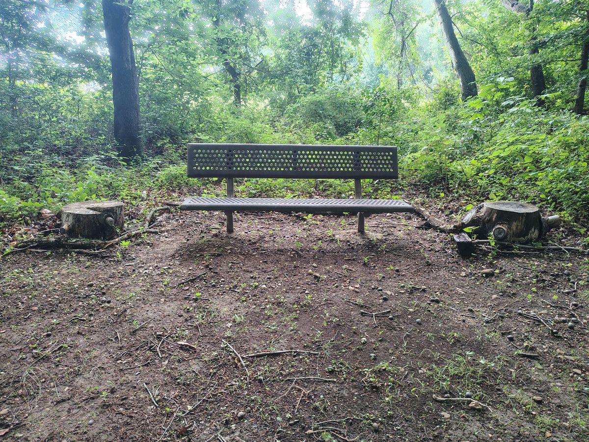 Hole 4 "bag stand" stumps!