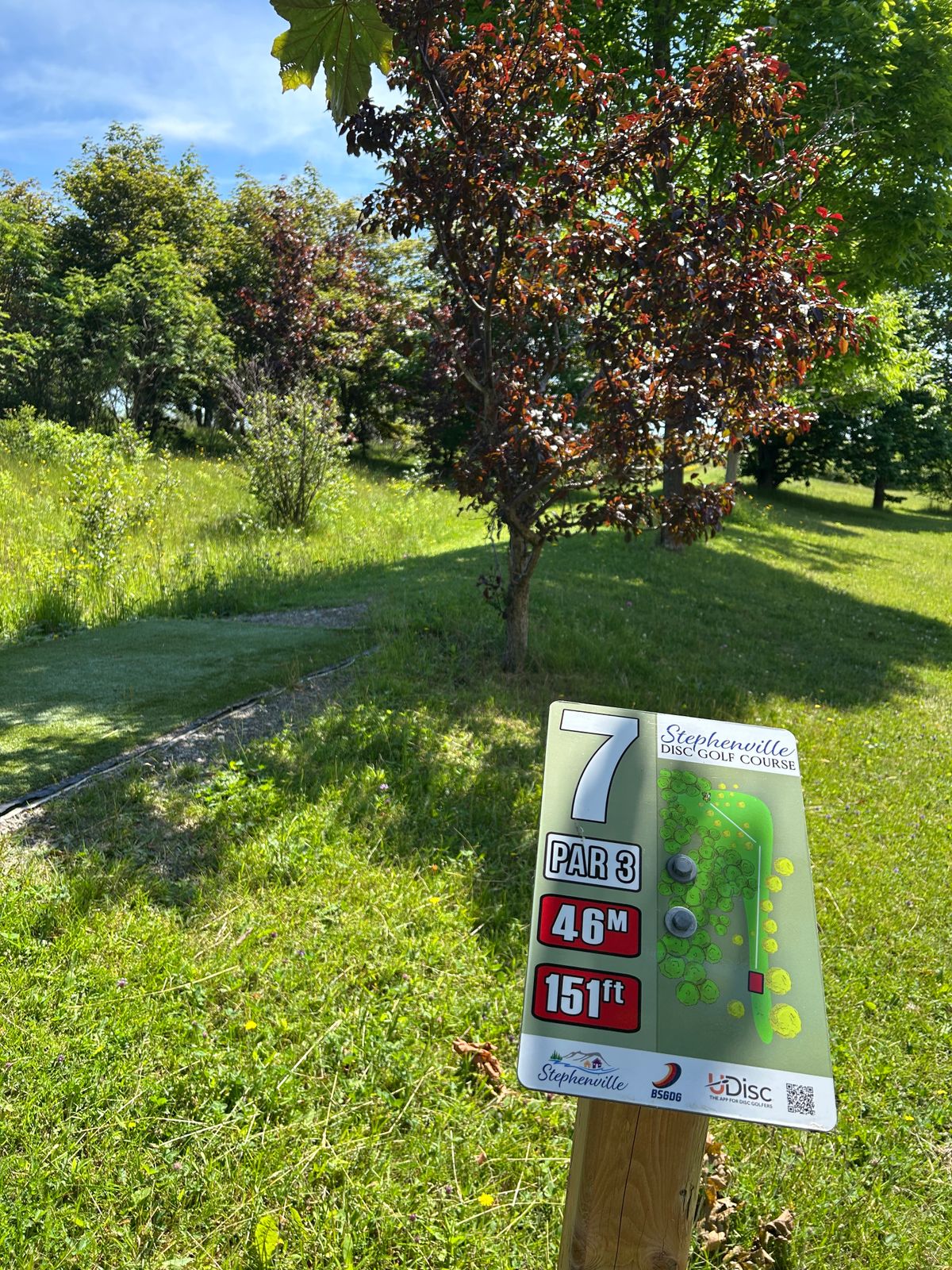 Hole 7 - short