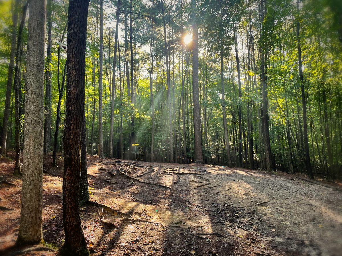 hole 4 (at the fairway bend)