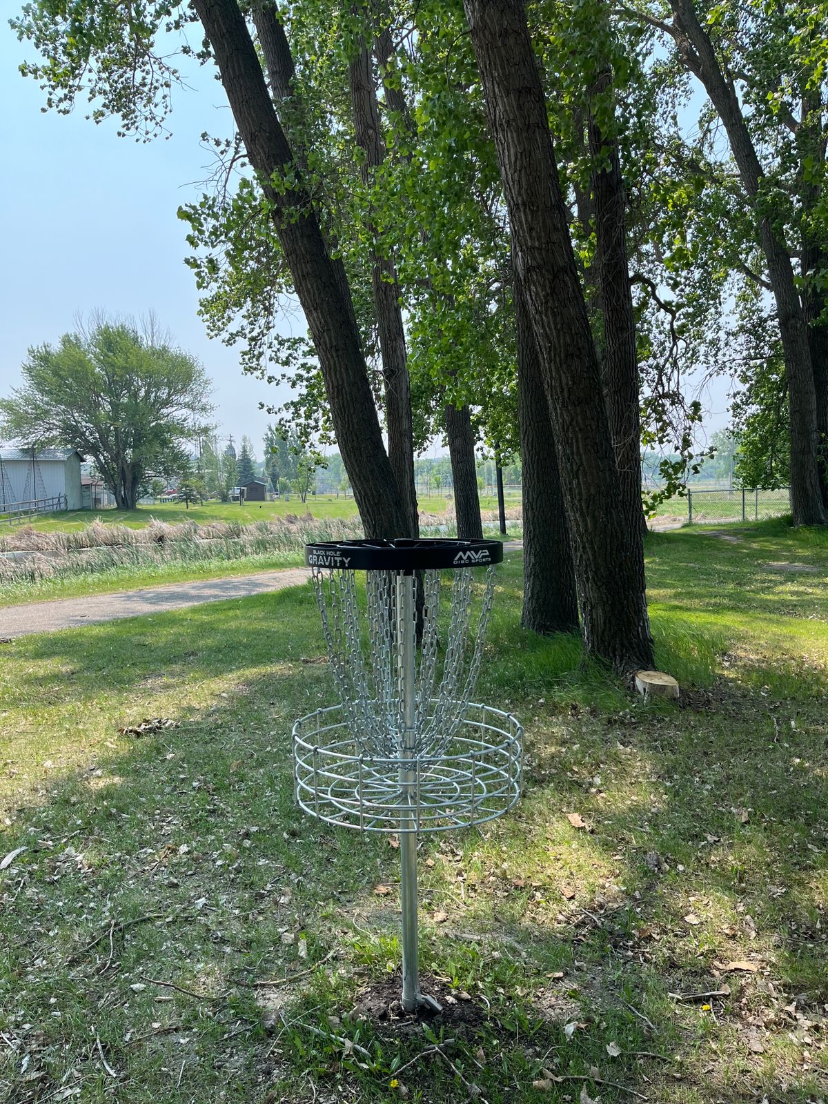 Hole 5 basket