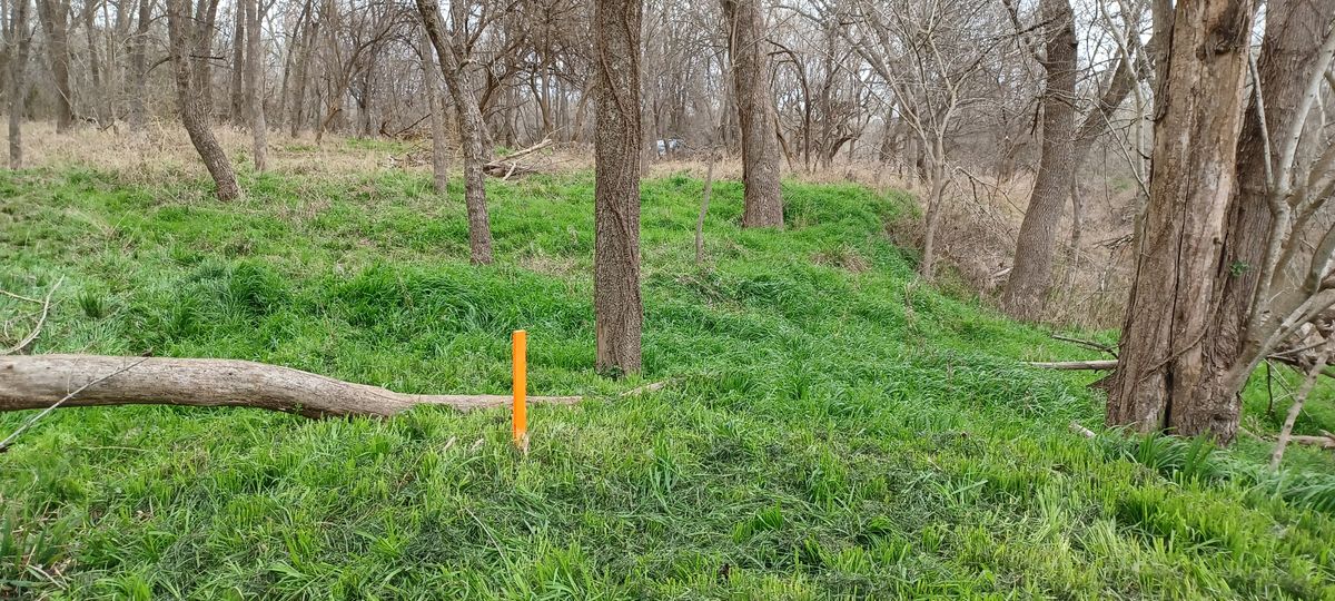 Hole 5