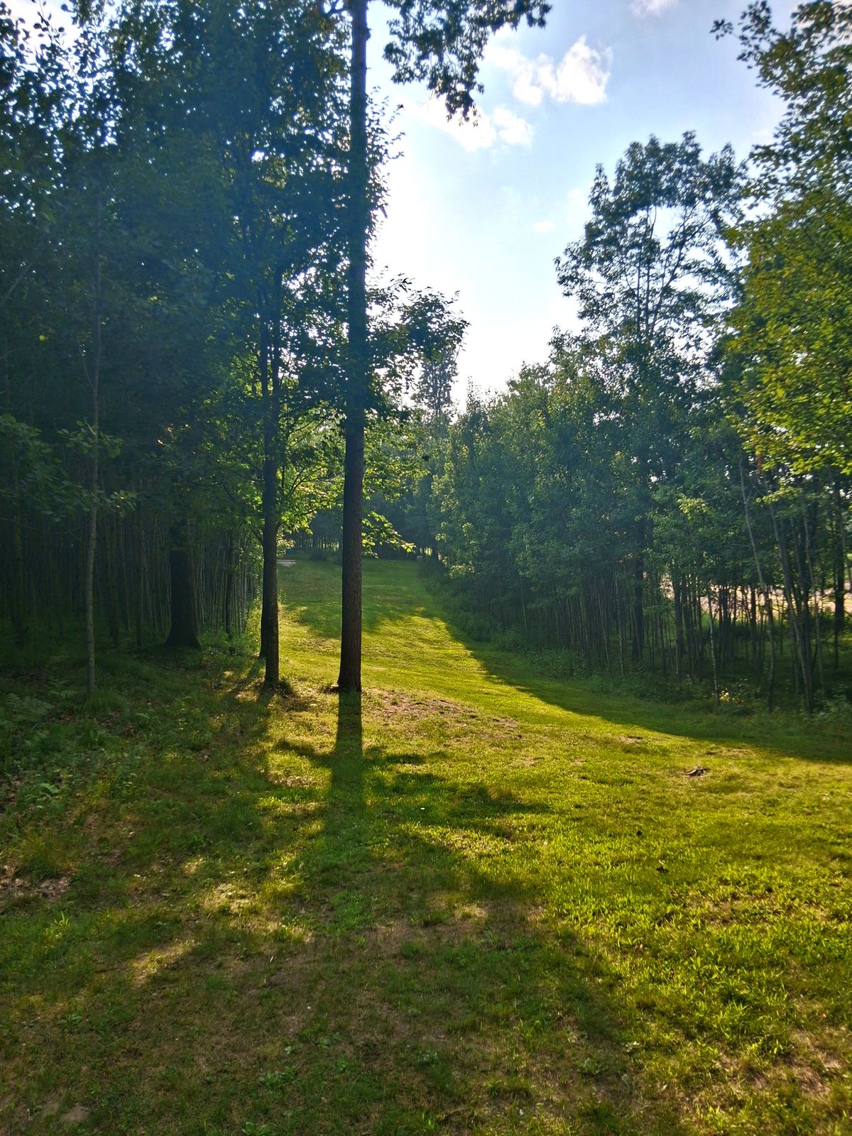 Looking back from mid fairway on hole 15