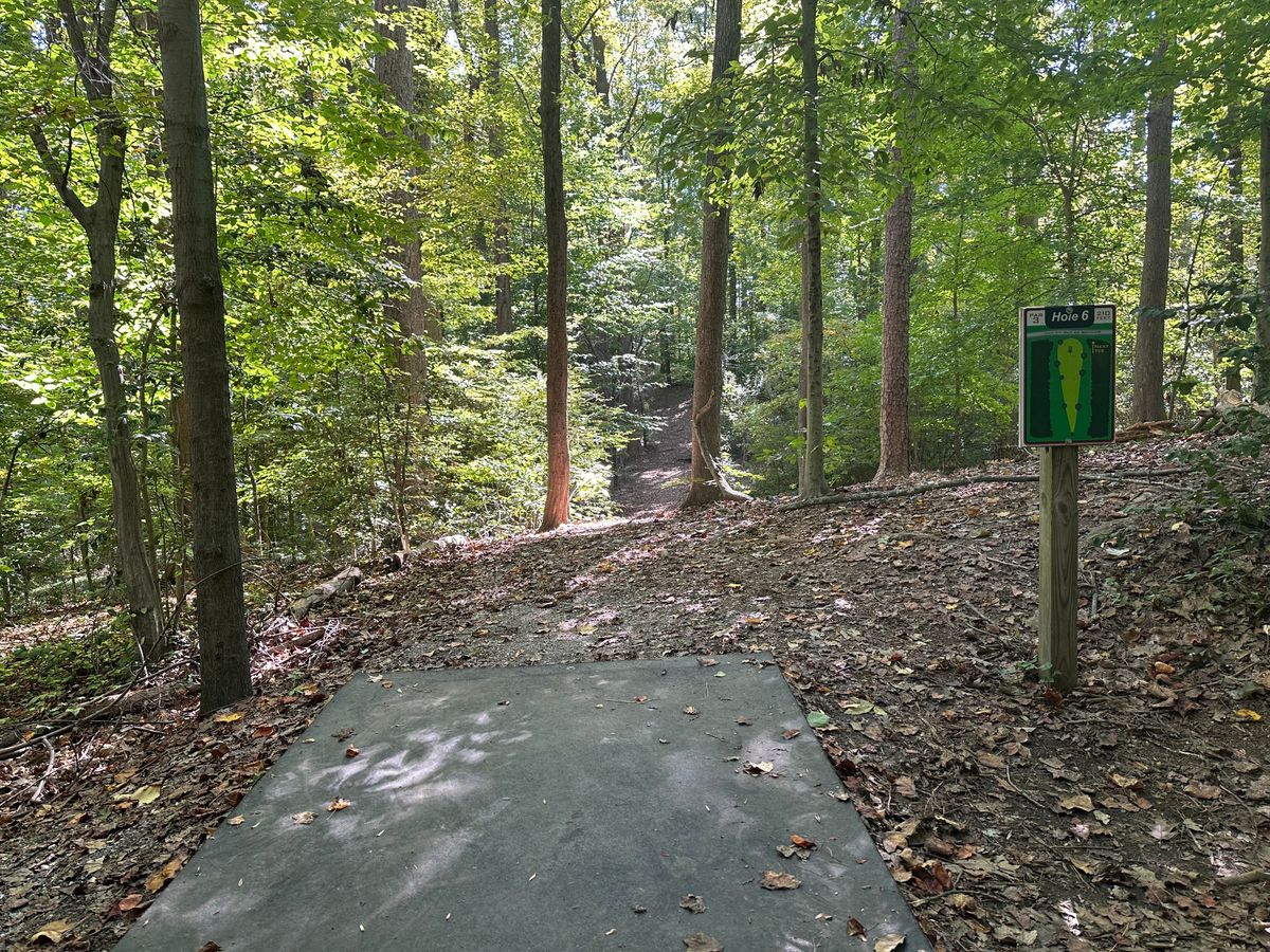 Hole #6 - over the ravine with a bit of elevation change