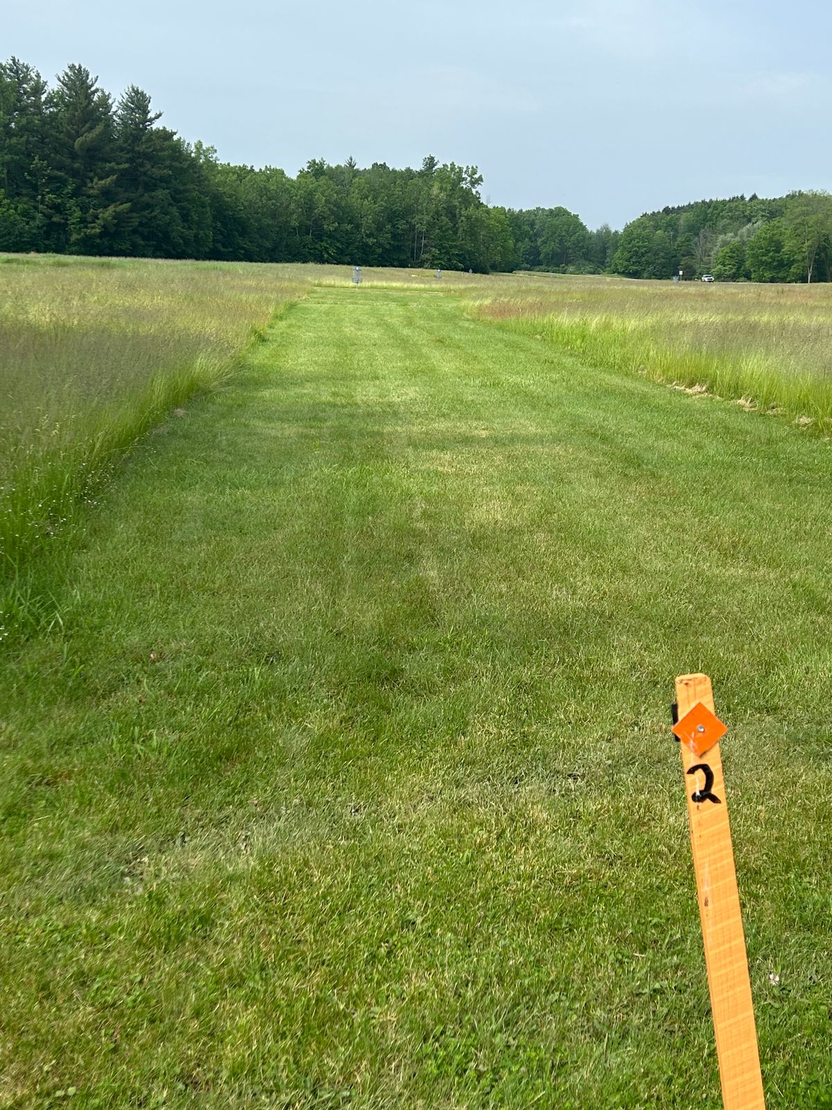 Hole 2 tee