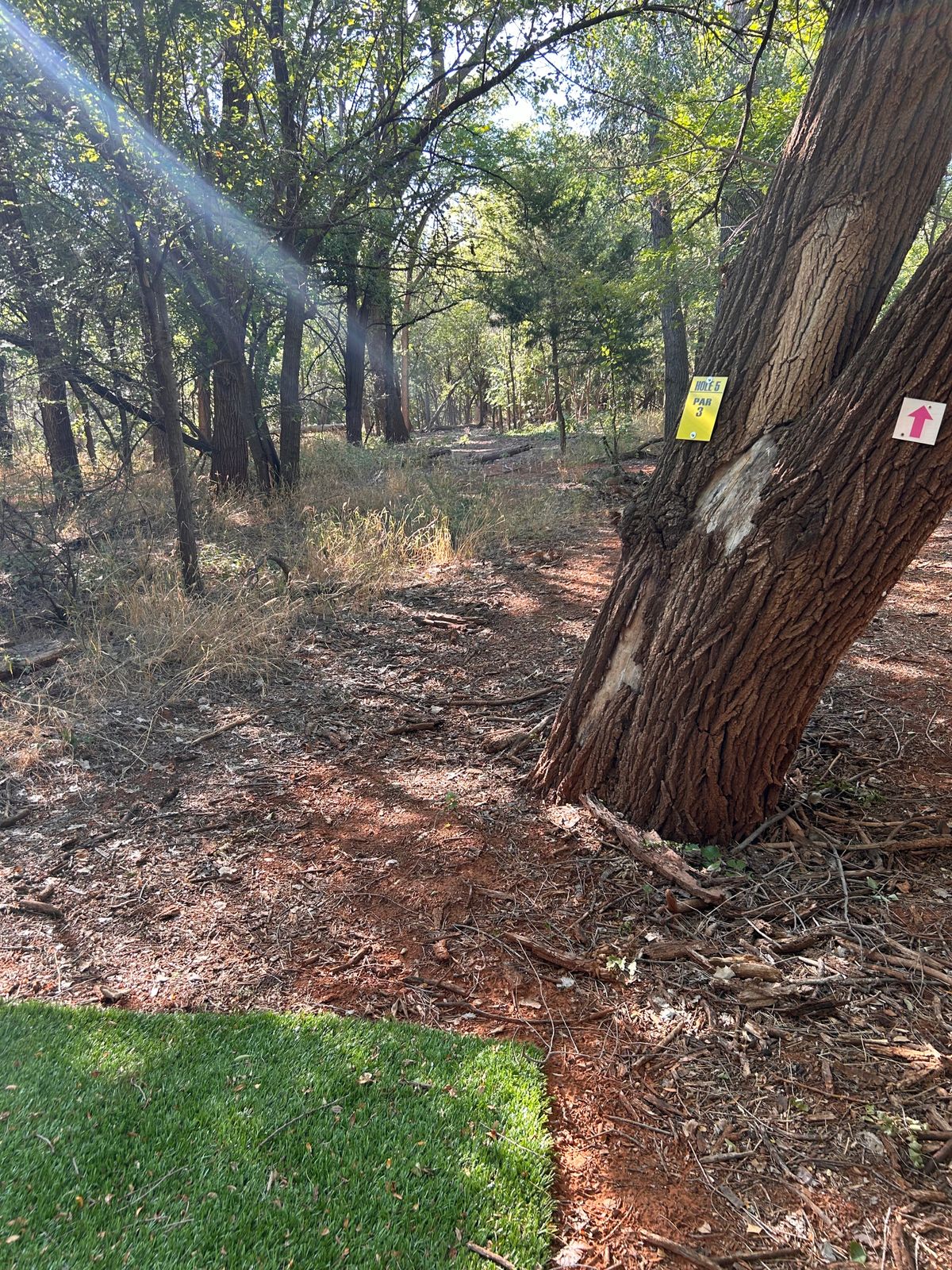 Hole 5
