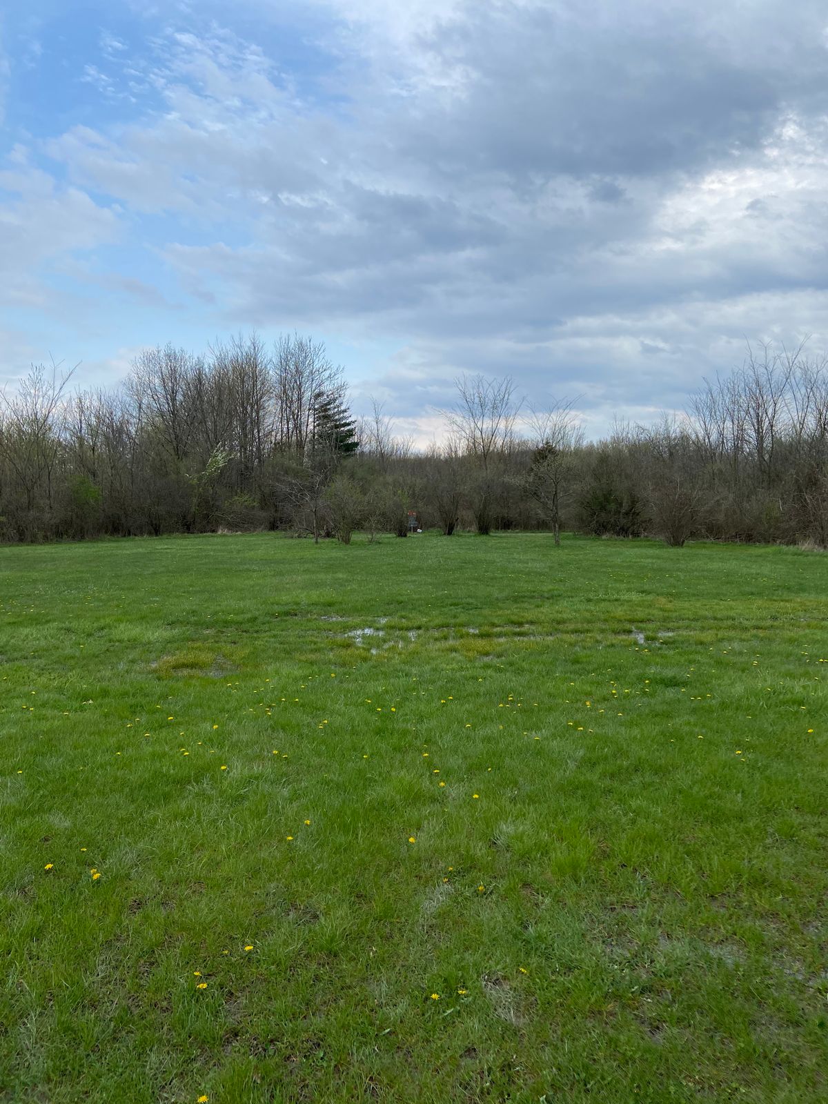 Looking at the pin of hole 8.