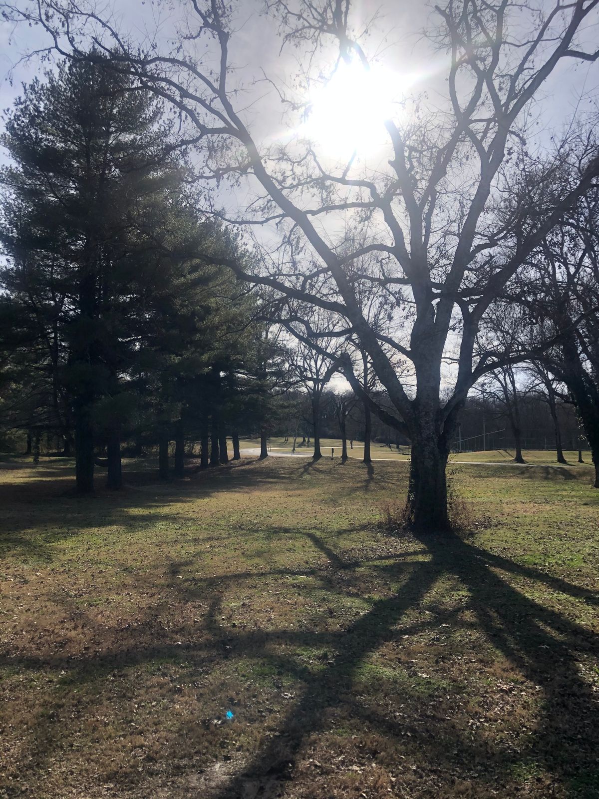 Hole 2