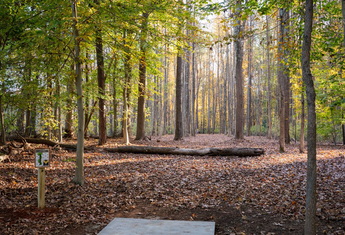 Hole 6.