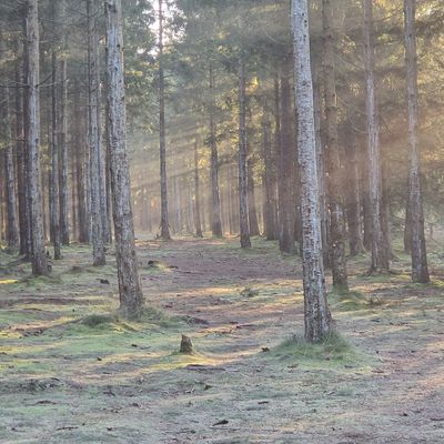 Hole 14 - From the yellow teebox