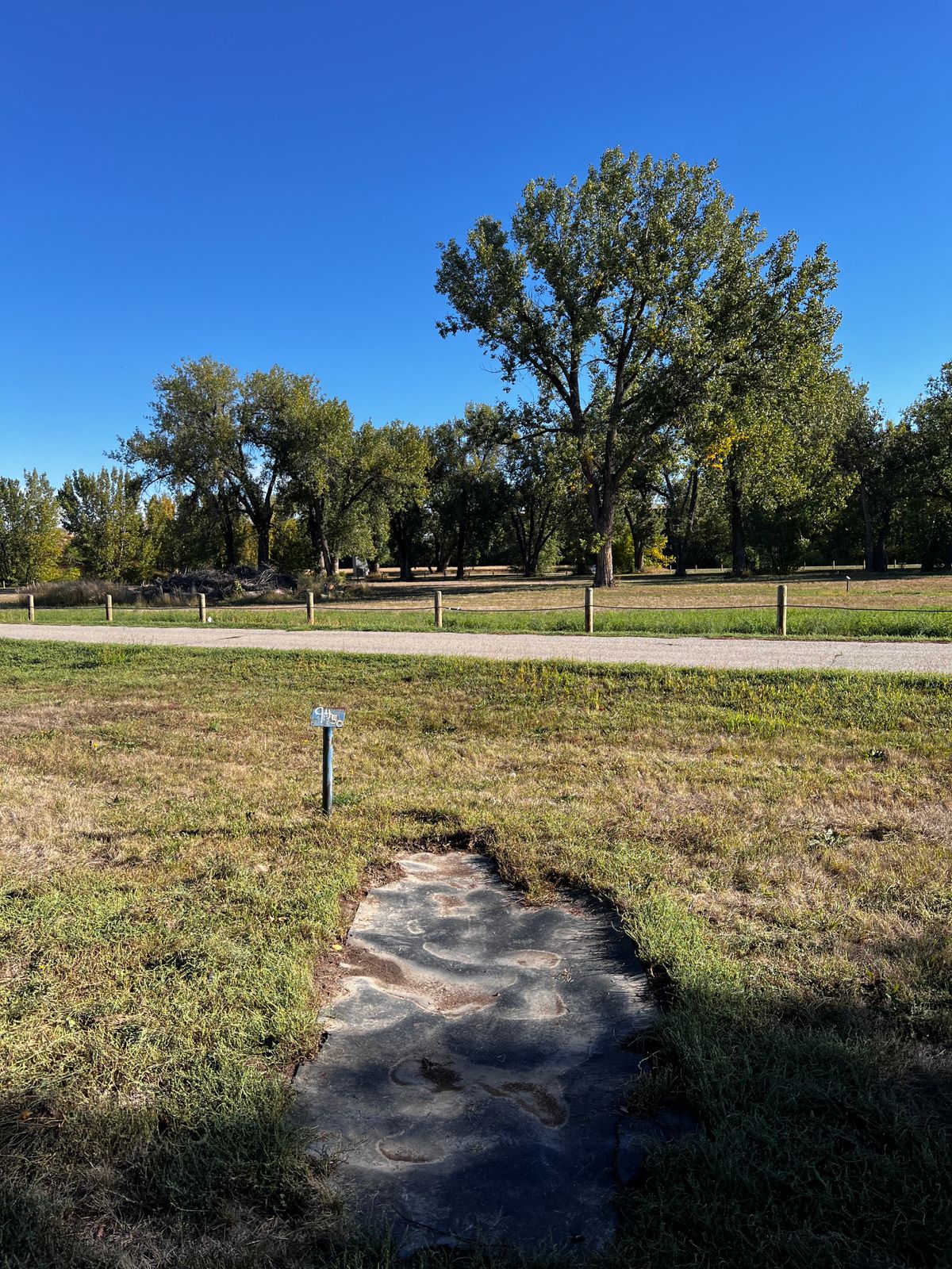 Tee 9
