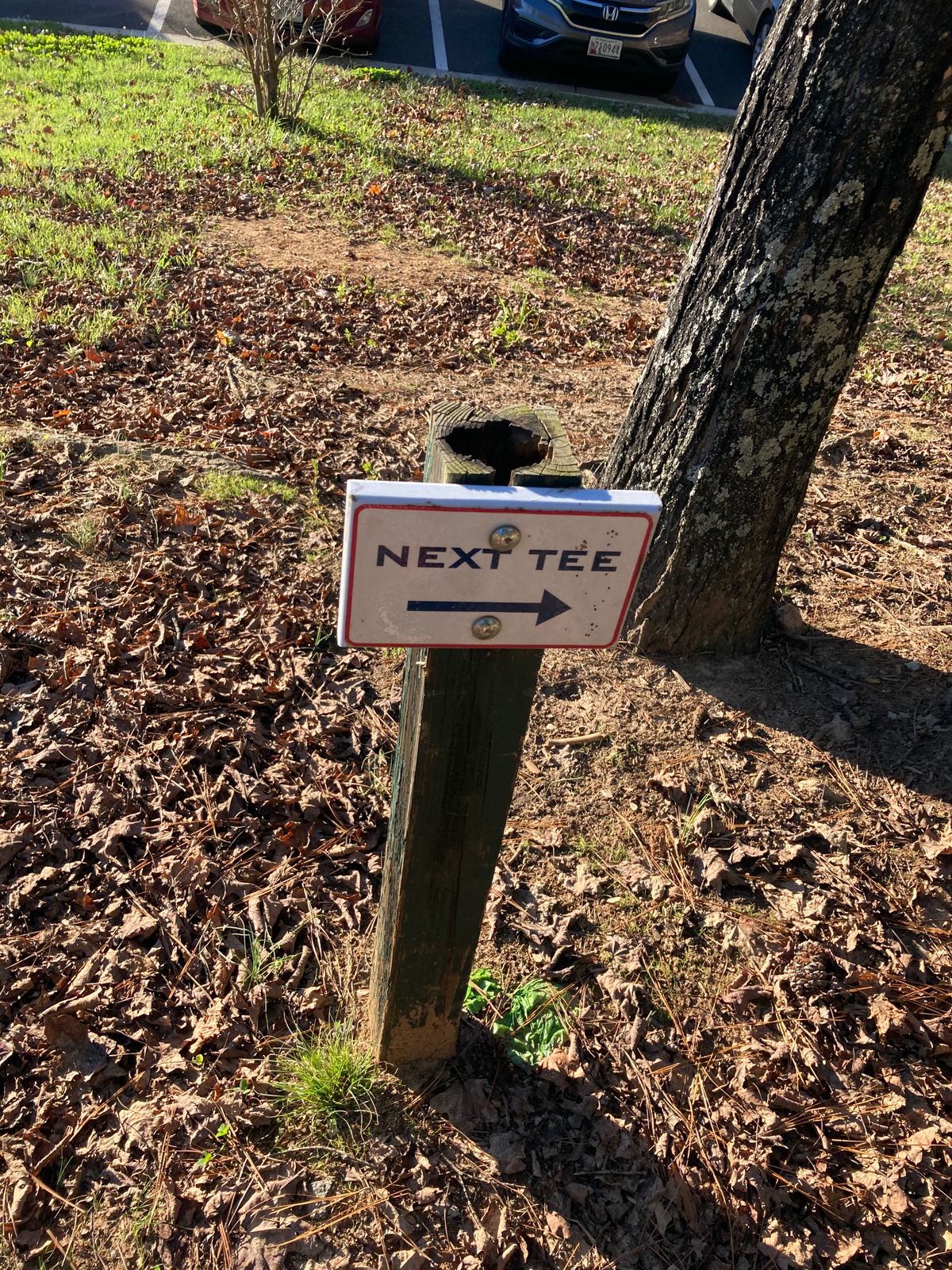 1 of 3 on the course. Use UDisc map to find tee boxes