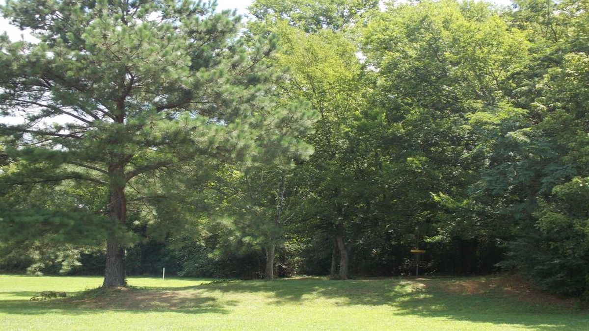 Hole 1 basket