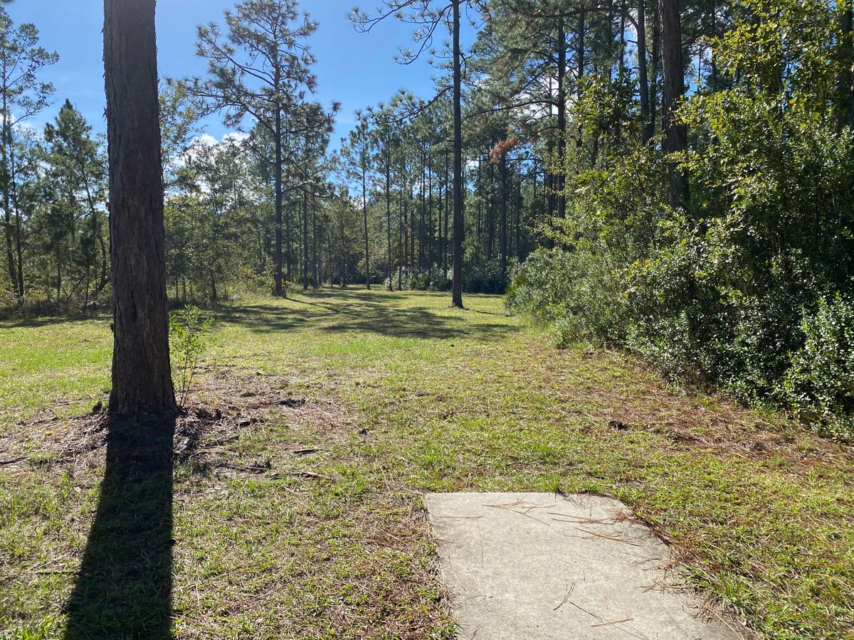 One of the back 18 fairways