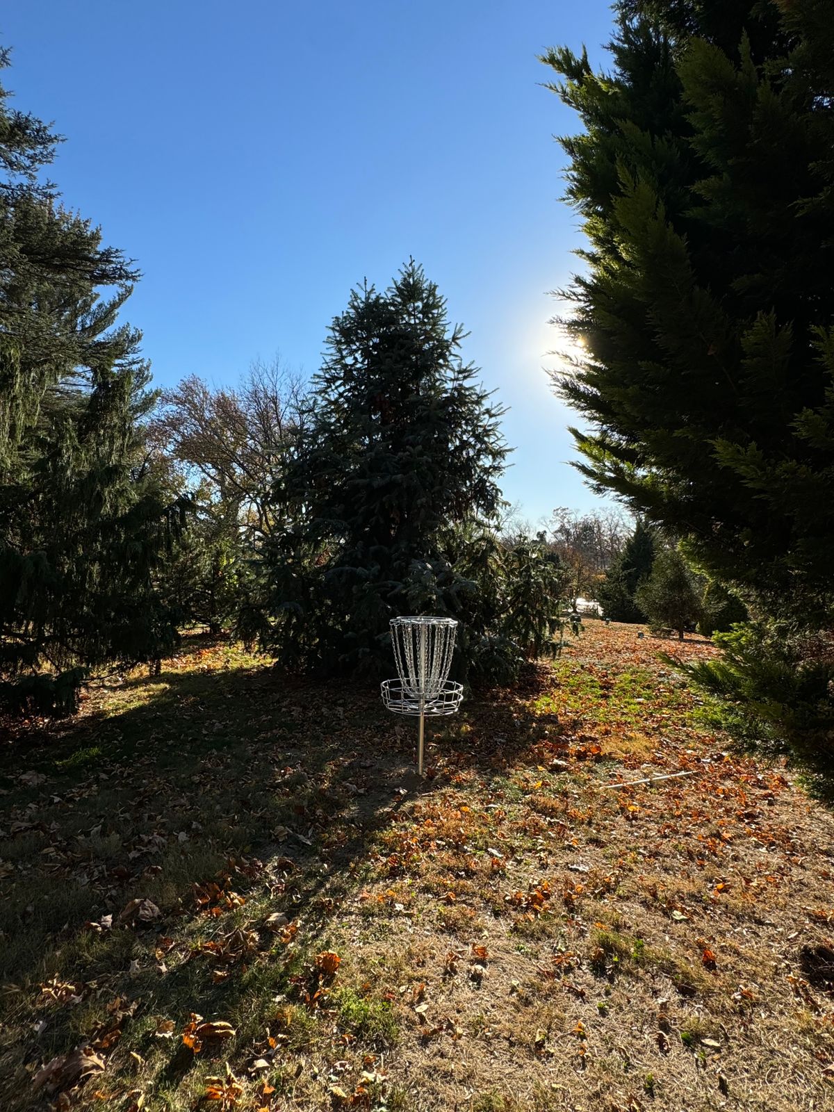 Hole 4 Basket alcove