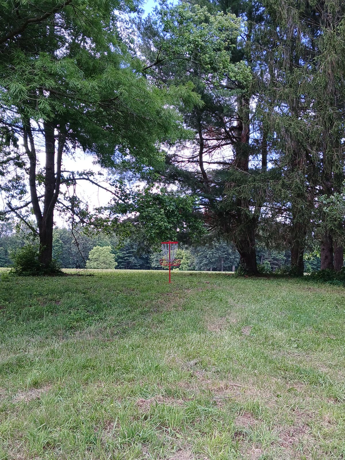 Hole 7 Green