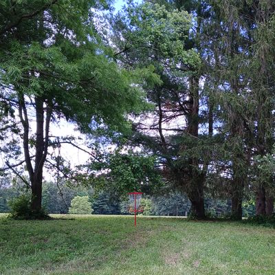 Hole 7 Green
