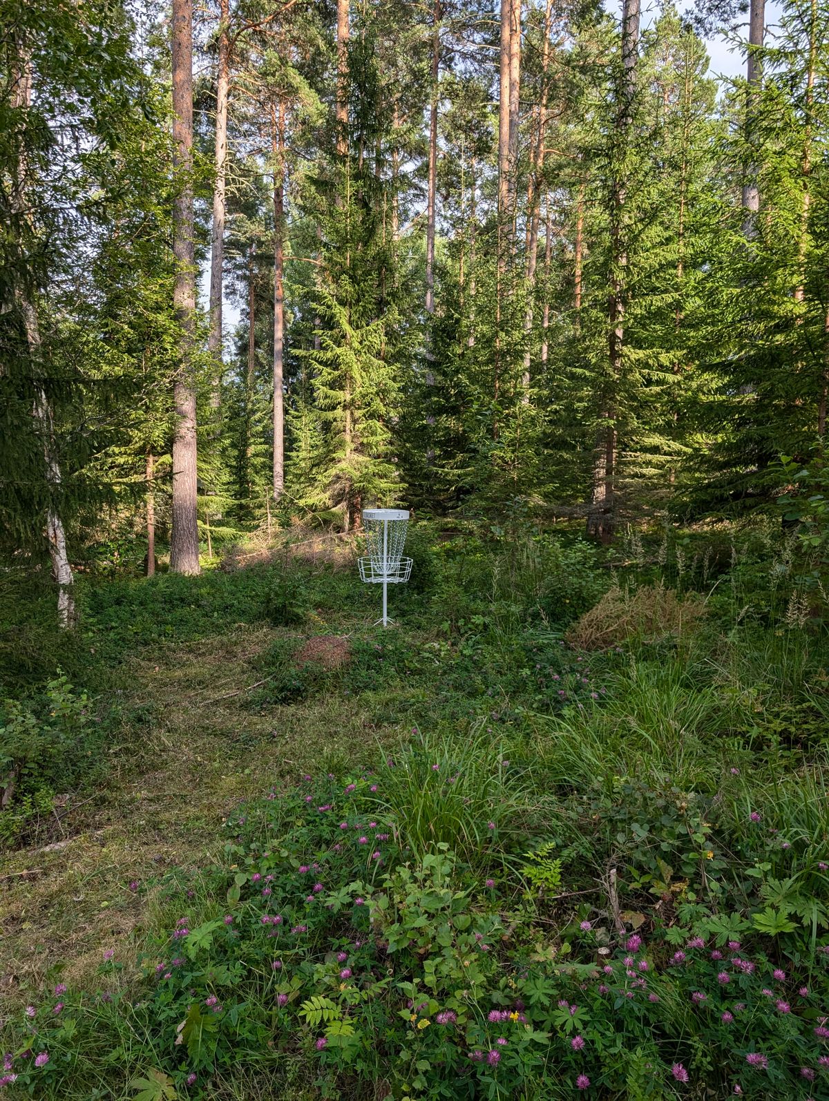Korg hål 9