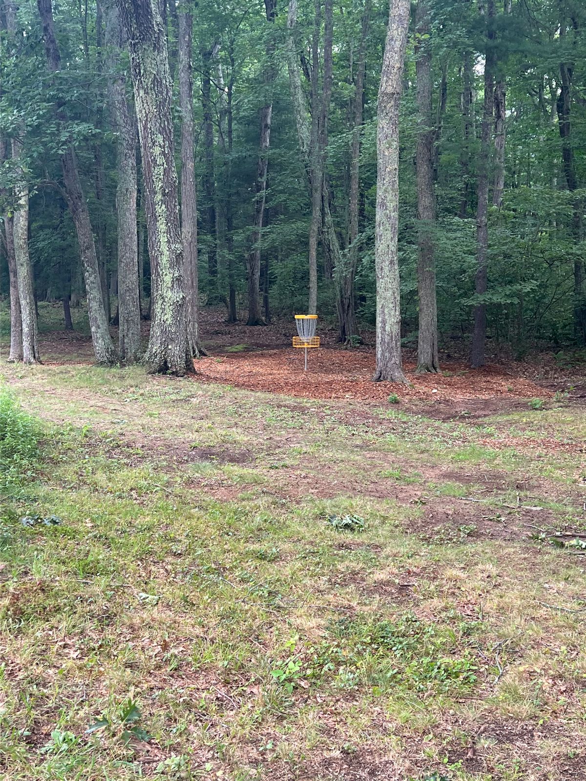 Hole 9 Basket